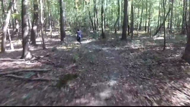 TTR 125 And Apollo 125 | Trail Riding ( In The Woods ) смотреть онлайн