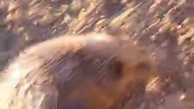 Российское чудо Ульяновской Области часть 3 смотреть онлайн