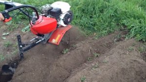 Окучивание картошки пасивным окучником (м/б Pubert vario)