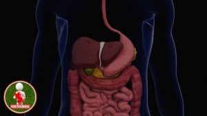Всего одна ложка СЕМЯН УКРОПА и организм как НОВЫЙ. #семенаукропа