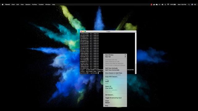 Running Selenium grid with Zalenium in Docker container смотреть онлайн