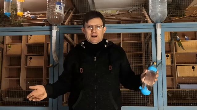 Поилки для волнистых попугаев.