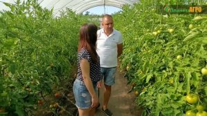 Выращивание томатов. В гостях канал Планета Агро.