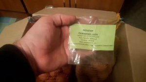 РАСПАКОВКА ПОСЫЛКИ. КАРТОФЕЛЬ. Сорт Богатырь. Сорт Санибель. 2021