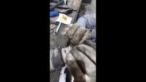 Как заменить крестовину ГАЗ 3308