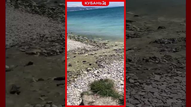 Зеленую воду в синее море слили с земельного участка в Новороссийске