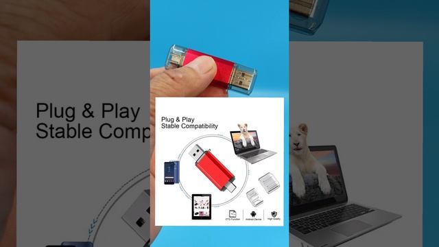 YouCut_20230929_124756803 смотреть онлайн