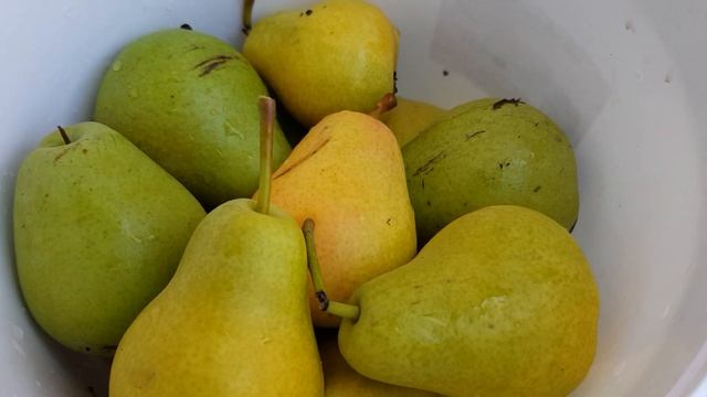 Флейта груша и Чижовская груша. смотреть онлайн