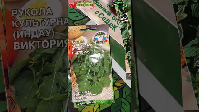 Семена для зимнего огорода от @agrocompany_sedek  #седек #огороднаокне #зимнийогород #