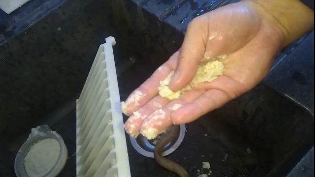 Плохая водоподготовка для льдогенераторов