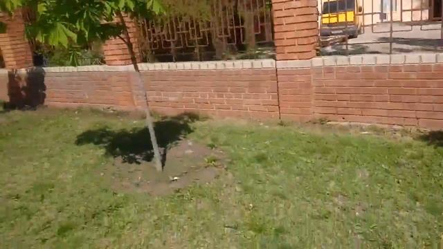 НАШ ДЕТДОМ, ЦЕРКОВЬ И НАШ РЕДАКТОР 28.04.2019 смотреть онлайн