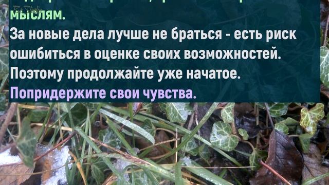 Лунный календарь на МАРТ 2021. Когда лучше стричь волосы? Благоприятные дни. смотреть онлайн