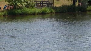 Речная прогулка по Москва реке Строгино, Серебряный Бор