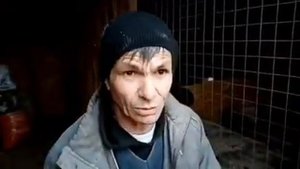 Натоптыш на лапах кур тяжелых пород. Пододерматит, шмель.