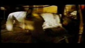 пропаганда. белым мелом.