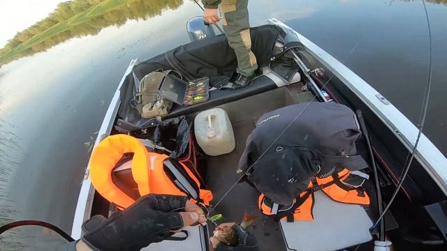 НАШЛИ РУЧЕЙ, А ТАМ ЩУКИ И ОГРОМНЫЕ ОКУНИ! РЫБАЛКА НА ОБИ В ДЕНЬ РЫБАКА. смотреть онлайн