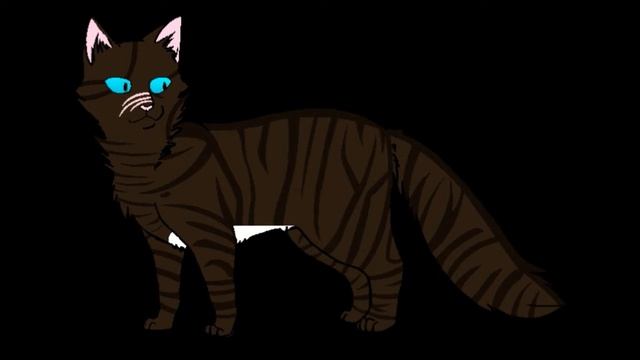 Коршун коты воители