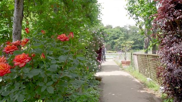 GUNMA. Tobu Treasure Garden. 東武トレジャーガーデン #4K смотреть онлайн