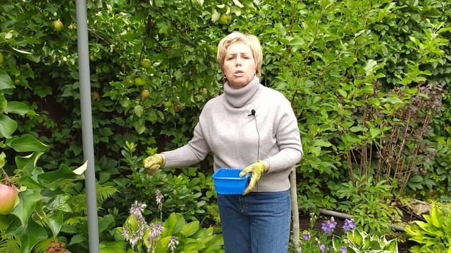Безопасные способы борьбы со слизнями ⚡ 100% результат / Садовый гид