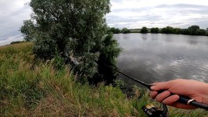 Ловля судака на Москва реке