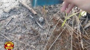 ⚡️ТОП 10 ПЕТАРД?ВЗРЫВАЕМ ПЕТАРДАМИ ЖЕСТКИЙ ДИСК ? VS? КОРСАР 10 ?