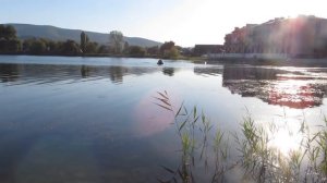 Пенсионер из Хабаровска о переезде. История переезда моей мамы на ПМЖ в Горячий Ключ из Хабаровска.