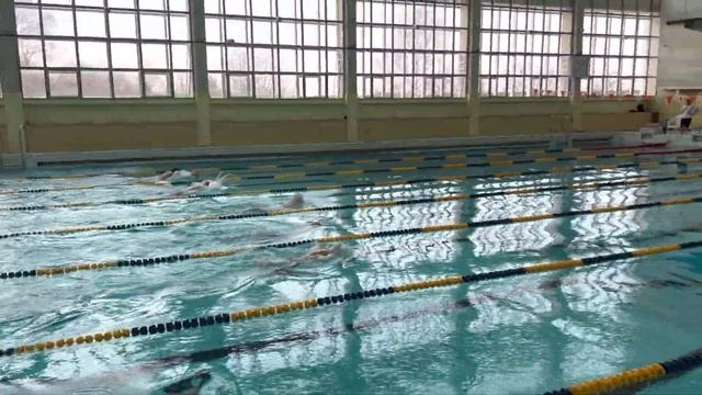 100 брасс @ День брасса, ПБ «Архимед» 21.01.2023 смотреть онлайн