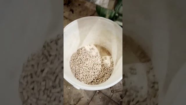 Гранулятор, гранулы из зерна