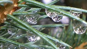 Морис Равель Игра воды