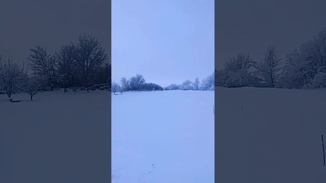 Зимняя сказка ❄️ смотреть онлайн