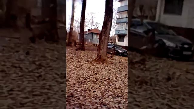 Игра- СЛАБО?/// Подружка/// Задания смотреть онлайн