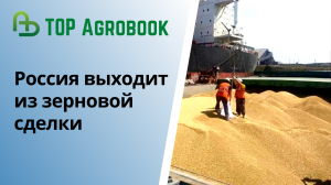 Россия приостанавливает участие в зерновой сделке. TOP Agrobook: обзор аграрных новостей