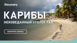 Карибы   Неизведанные острова   Discovery Channel