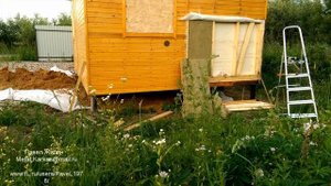 Личинка жука короеда. Решения по защите от мышей в каркасном доме.