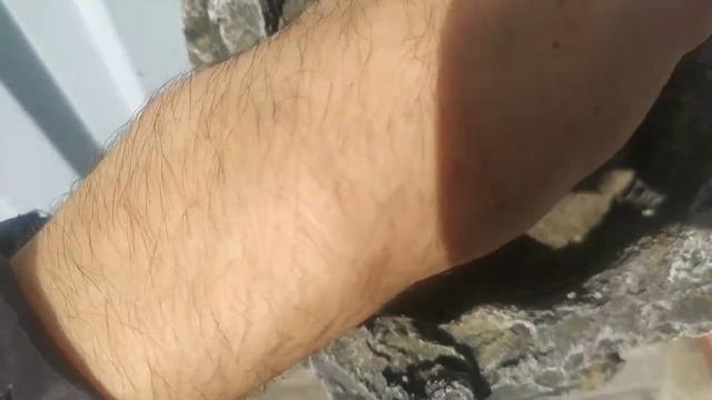 _занимаем свободное пространство , садовые столбы заборов ...