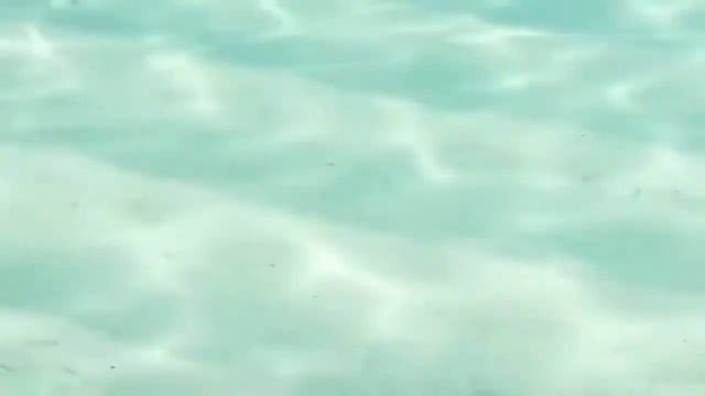 Медитация. Прогулка по берегу моря. (релакс медитация со словами) смотреть онлайн