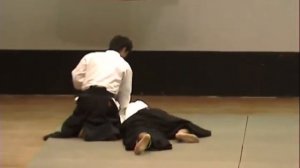 Nippon Budokan en Mexico Aikido Nov-10