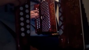 На гармони "Ой ты травушка зелёная гр. Сектор Газа"