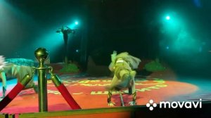 Мы в Цирке Кудзинов