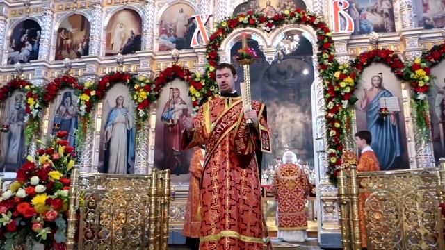 Царица Небесная, Ты мой Покров, Ты Надежда моя (Задонский монастырь 2022г) смотреть онлайн