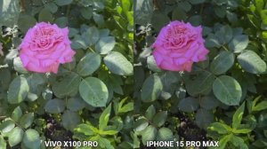 Vivo X100 Pro VS iphone 14 pro Max Camera test Comparison