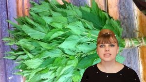 А ты знаешь? Почему крапива жжется?