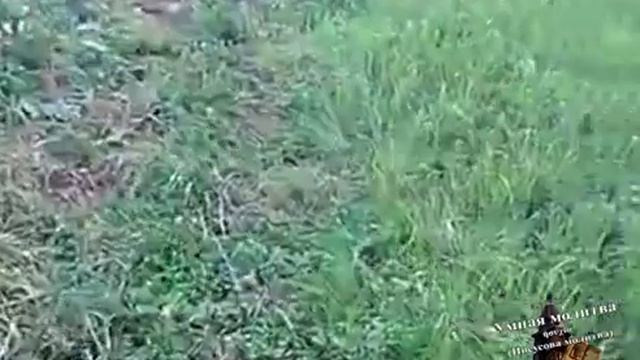 Как мы молились в скиту Зачем молиться вслух.mp4 смотреть онлайн