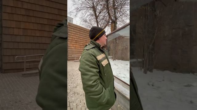 Манул Тимофей не кушал Дениса, а кушал крысок и перепелок ) Тимоша весит 6600 - 6650 )