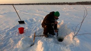Рыбалка на налима / Вес трофейного налима / Определили победителя / Рыбалка на Севере / Серия№9
