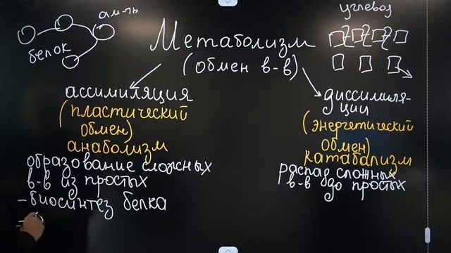 Что такое МЕТАБОЛИЗМ и ЗАЧЕМ он нужен? | Подготовка к ЕГЭ 2022 по БИОЛОГИИ смотреть онлайн
