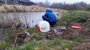 Зарыбление водоема. Как приживаются в пруду белый амур и карп.