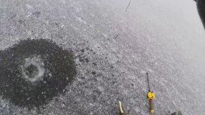 Начинающим рыболовам,установка жерлицы из шланга зимой.Видео rybachil.ru