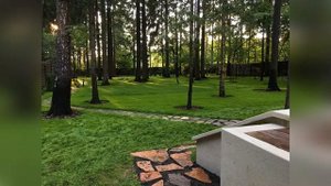 Оформление приствольных кругов деревьев