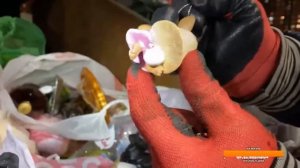 Штребуха обманули на айфон